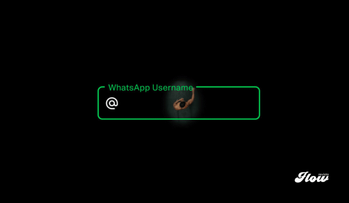 Noticias whatsapp username whatsapp