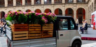 Olinia Carga costará cerca de 150 mil pesos y podrá transportar hasta 650 kilos Olinia Carga