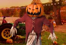 Pumpkin Zone 2026: una experiencia de Halloween con calabazas, terror y cine cerca de CDMX Pumpkin Zone 2026: una experiencia de Halloween con calabazas, terror y cine cerca de CDMX