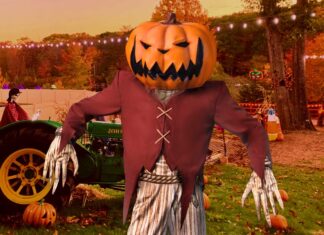 Pumpkin Zone 2026: una experiencia de Halloween con calabazas, terror y cine cerca de CDMX Pumpkin Zone 2026: una experiencia de Halloween con calabazas, terror y cine cerca de CDMX