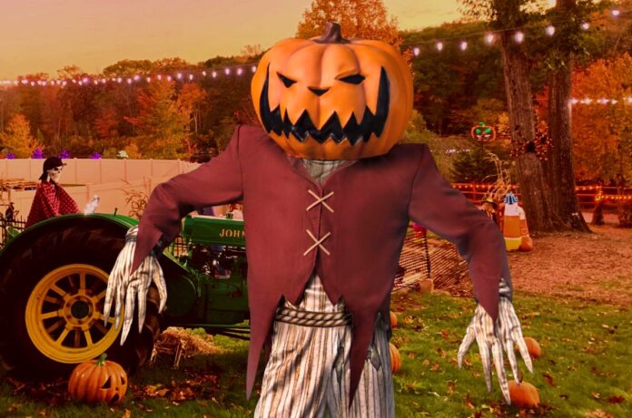 Pumpkin Zone 2026: una experiencia de Halloween con calabazas, terror y cine cerca de CDMX