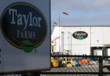 Alerta por salmonela en EU: Taylor Farms retira salsas y guacamole elaborados con jalapeños de Sinaloa Taylor Farms