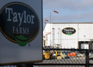 Alerta por salmonela en EU: Taylor Farms retira salsas y guacamole elaborados con jalapeños de Sinaloa Taylor Farms