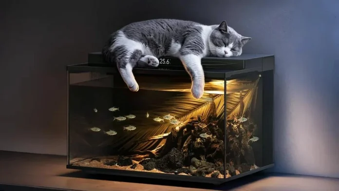 Xiaomi Mijia Smart Fish Tank 2 Pro Xiaomi Mijia Smart Fish Tank 2 Pro