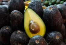 Estados Unidos frena inspecciones de aguacate en Michoacán por alerta de seguridad aguacate