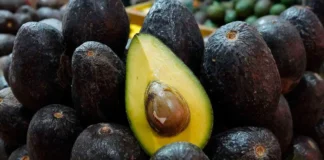 Estados Unidos frena inspecciones de aguacate en Michoacán por alerta de seguridad aguacate