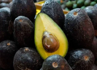 Estados Unidos frena inspecciones de aguacate en Michoacán por alerta de seguridad aguacate
