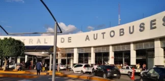 Descuento INAPAM en autobuses: adultos mayores pueden pagar 50% menos en sus viajes autobuses central camionera
