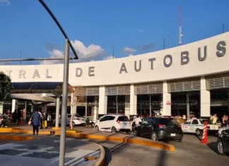 Descuento INAPAM en autobuses: adultos mayores pueden pagar 50% menos en sus viajes autobuses central camionera