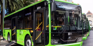 CDMX invertirá 2 mil millones de pesos para renovar RTP con cerca de 500 nuevos autobuses RTP