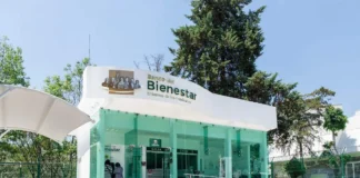Sembrando Vida pagará 6 mil 450 pesos el 7 de agosto a beneficiarios de Tabasco Banco del Bienestar