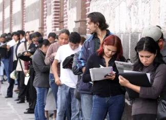 Seguro de Desempleo CDMX 2026: registro abrirá solo 24 horas y dará hasta 10 mil 698 pesos Desempleo