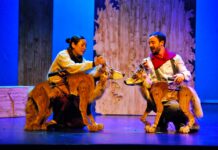 (Sólo) un bosque aborda la muerte y la pérdida para las infancias en el Teatro Helénico (Sólo) un bosque