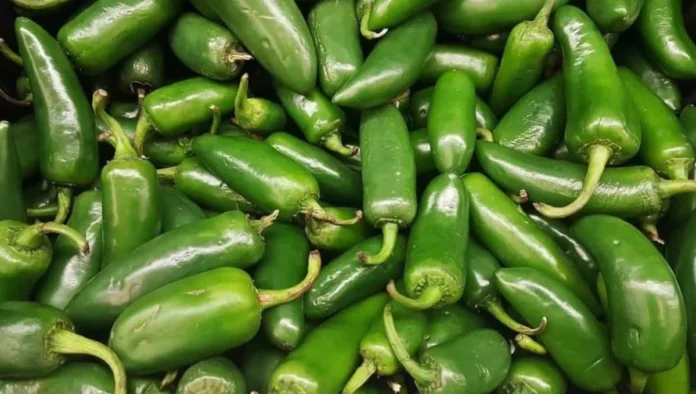 salmonela jalapeños salmonela jalapeños