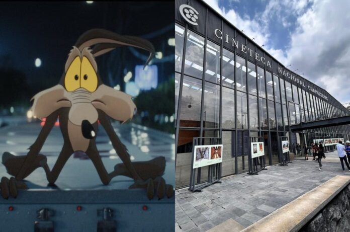 ‘Coyote vs. Acme’ llegará a la Cineteca Nacional después de casi tres años de espera ‘Coyote vs. Acme’ llegará a la Cineteca Nacional después de casi tres años de espera
