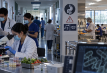 Brote de Salmonella en el Hospital General de México: 135 médicos fueron afectados y 41 siguen hospitalizados