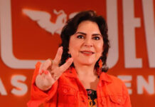 Proponen incluir el borrado de pruebas de violencia entre las razones de género del feminicidio feminicidio