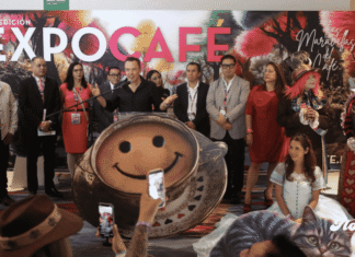 Expo Café 2026 reunió al sector cafetero con competencias, capacitación y negocios en CDMX expo cafe