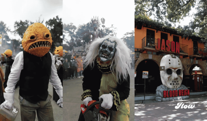 Noticias six flags halloween six flags