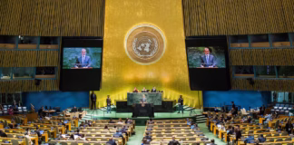 ONU propone que México asuma programa laboral que ha apoyado a más de 50 mil migrantes ONU