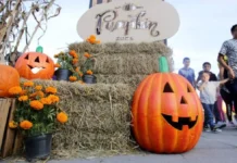 Pumpkin Zone 2026 llega a Puebla con casa del terror, juegos y cine al aire libre Pumpkin Zone 2026