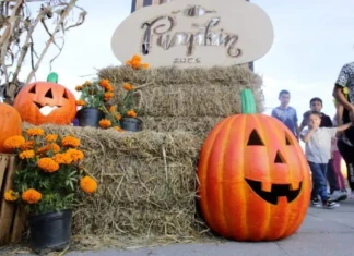 Pumpkin Zone 2026 llega a Puebla con casa del terror, juegos y cine al aire libre Pumpkin Zone 2026