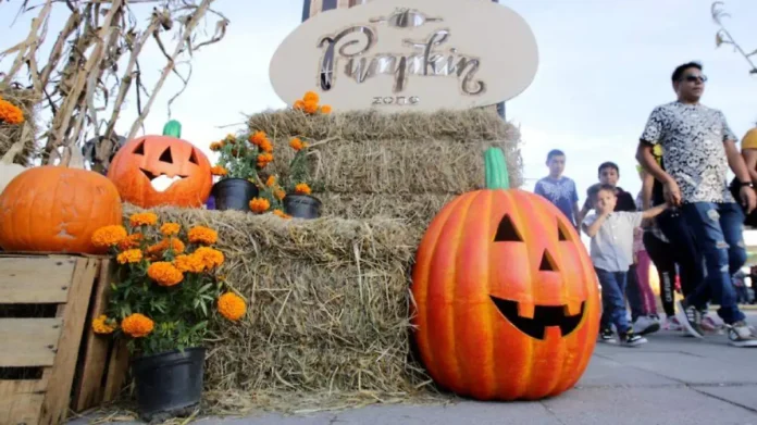 Pumpkin Zone 2026 Pumpkin Zone 2026
