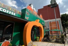 Snoopy transforma una cafetería en CDMX: ubicación, horarios y cuándo visitarla Snoopy