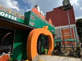 Snoopy transforma una cafetería en CDMX: ubicación, horarios y cuándo visitarla Snoopy