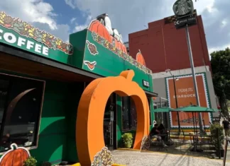 Snoopy transforma una cafetería en CDMX: ubicación, horarios y cuándo visitarla Snoopy