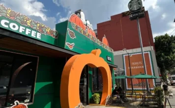 Snoopy transforma una cafetería en CDMX: ubicación, horarios y cuándo visitarla Snoopy