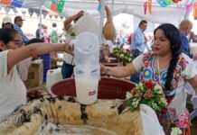 Tianguis del Pulque y la Cerveza 2026: habrá fiesta de Día de Muertos en CDMX