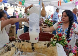 Tianguis del Pulque y la Cerveza 2026: habrá fiesta de Día de Muertos en CDMX