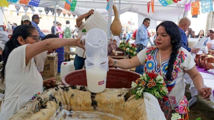 Tianguis del Pulque y la Cerveza 2026- habrá fiesta de Día de Muertos en CDMX