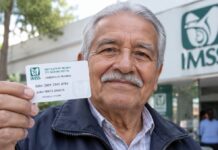 Credencial blanca del IMSS: quién puede tramitarla, para qué sirve y qué requisitos solicita credencial blanca imss