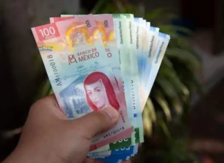 Profeco explica cuándo puedes cancelar una compra y exigir la devolución de tu dinero Profeco