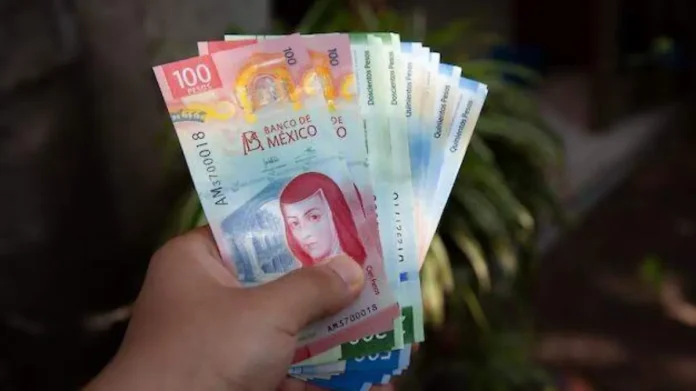 devolucion dinero Profeco Profeco