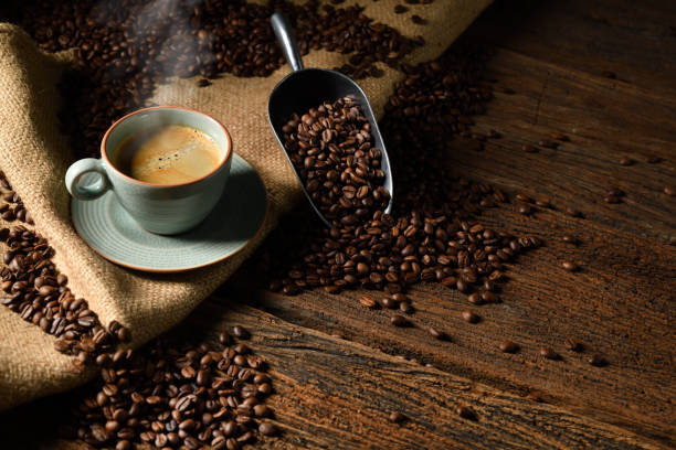 Expo Café 2026 Expo Café 2026