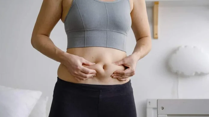 grasa abdominal grasa abdominal