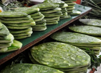 Nopal mantiene a CDMX entre los principales productores de México y sostiene a miles de familias rurales nopal