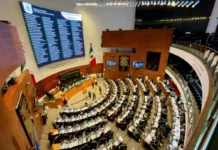 Senado aprueba nueva Ley General de Bienestar Animal y plantea padrón nacional de infractores Senado