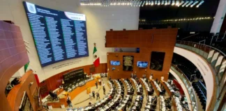 Senado aprueba nueva Ley General de Bienestar Animal y plantea padrón nacional de infractores Senado