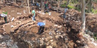 Espinas halladas en el Tren Maya aportan pistas sobre rituales de autosacrificio maya tren maya