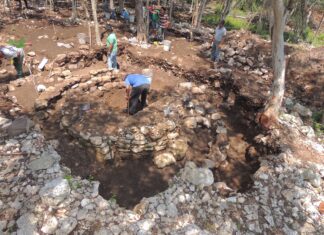 Espinas halladas en el Tren Maya aportan pistas sobre rituales de autosacrificio maya tren maya