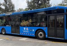 Trolebús y RTP ganan pasajeros mientras Metrobús retrocede en el Valle de México Trolebús