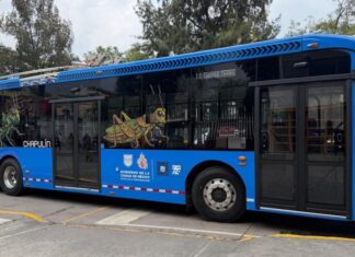 Trolebús y RTP ganan pasajeros mientras Metrobús retrocede en el Valle de México Trolebús