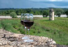 Vino mexicano gana mercado, pero enfrenta presión de importaciones europeas y tipo de cambio vino mexicano