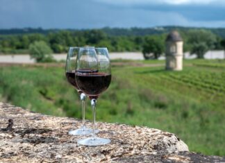 Vino mexicano gana mercado, pero enfrenta presión de importaciones europeas y tipo de cambio vino mexicano
