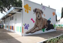CDMX inaugura Xólotl: centro de bienestar animal recibe inversión de 112 millones Xólotl