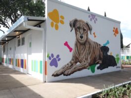 CDMX inaugura Xólotl: centro de bienestar animal recibe inversión de 112 millones Xólotl